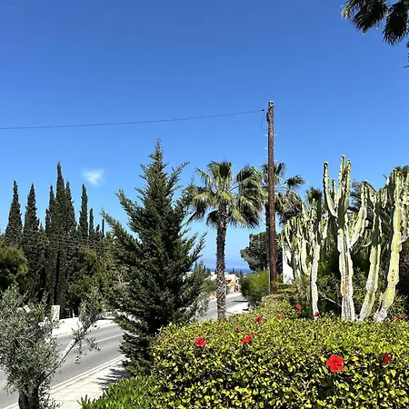 Alkyoni * פרוטאראס